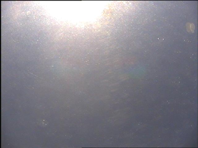 Image will refresh every 0 Minutes 1 Seconds